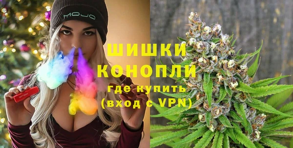 PSILOCYBIN Аркадак