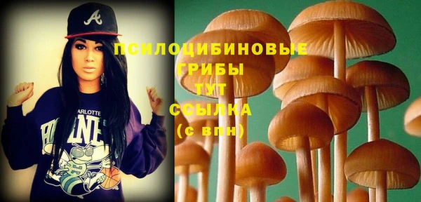 мескалин Арсеньев