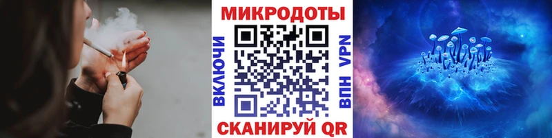 Псилоцибиновые грибы Psilocybine cubensis  Купить где  Воронеж 